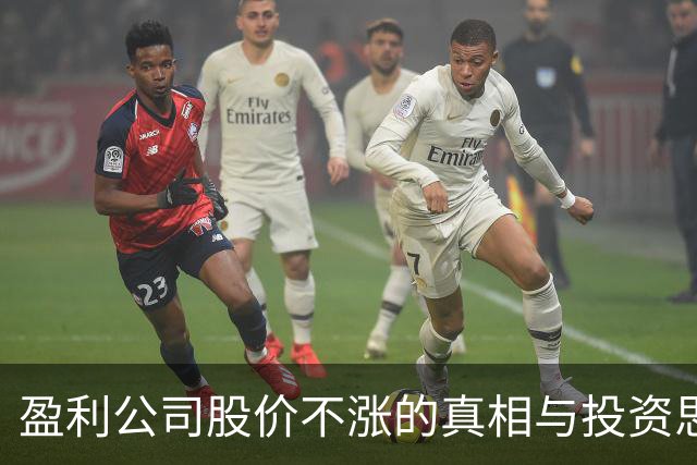 盈利公司股价不涨的真相与投资思维