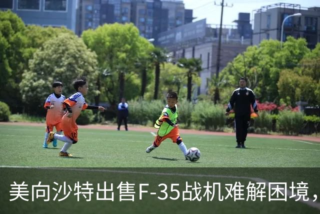 美向沙特出售F-35战机难解困境，胡塞武装或迎挑战